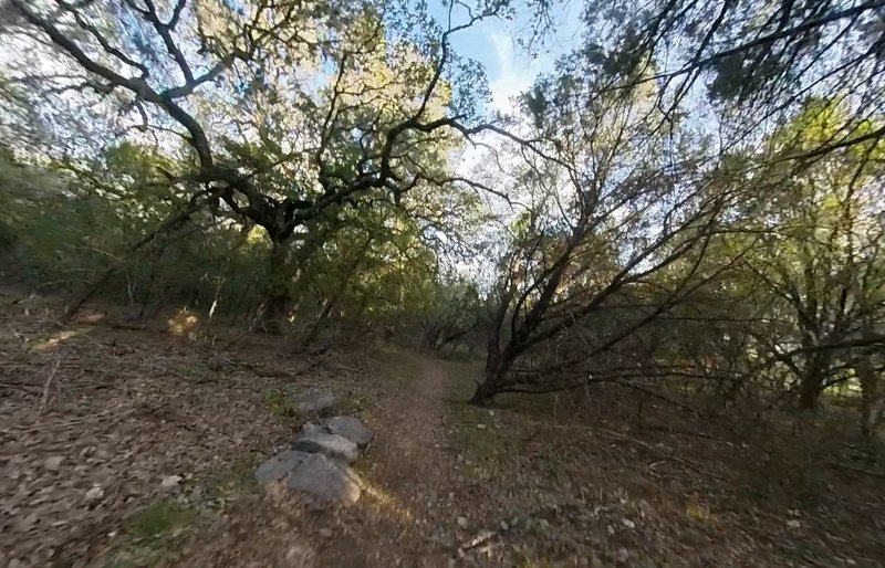 Riding part of the Sleeper Trail segment of the Perimeter Loop