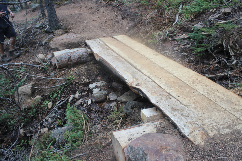 Hand built bridge on Lake Moraine Trail