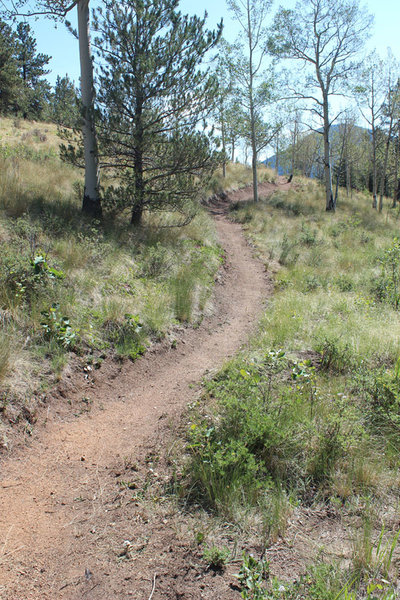 Aspen Meadow with great Views of Pikes Peak