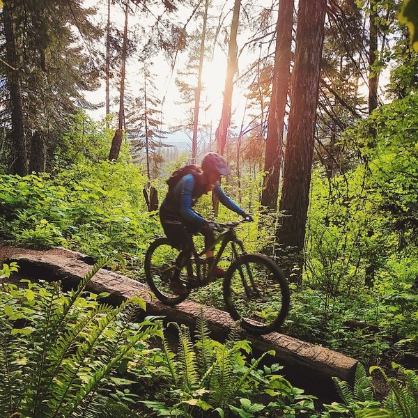 Fun skinny along the trail.