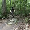 One of the many boardwalks with rocks scattered throughout this section of the trail!