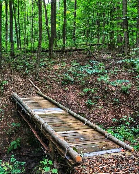 Bridge on the downhill trail.