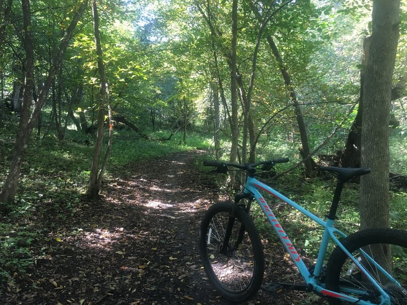 Setting out on the trail