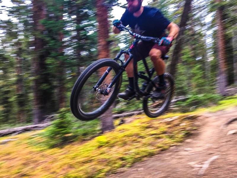 Lots of pines and loam that encourages having fun and getting funky on the CT down from Georgia Pass!