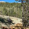 Pike's Peak tops above one of the massive granite boulders along the Lake Moraine trail. The trail has numerous A and B lines, truly a trail built by mountain-bikers for mountain-biking!