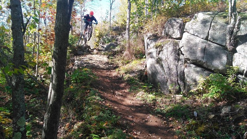 One of the fun drops in this section before a large rock face slopped decent!