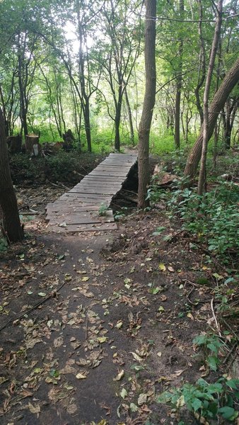 20ft. long  bridge, 30" wide. Decking made from field-milled dead Black Locust logs from within the park!