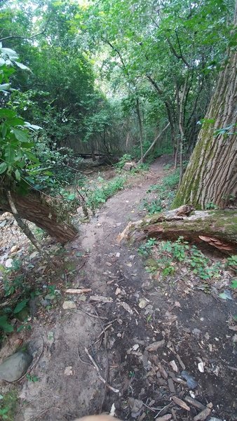 Sharp descent along the creek bank.