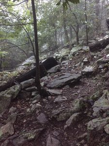 More good stuff at the Furnace.