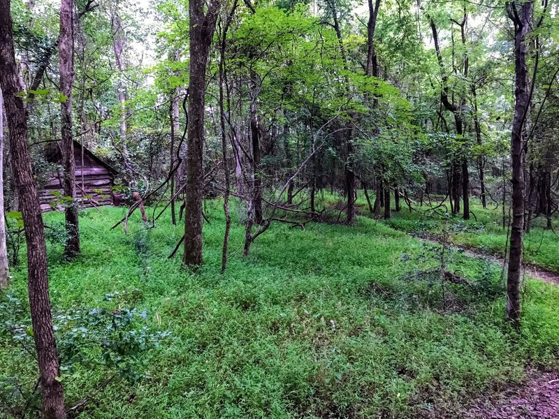 Log cabin farmhouse on the trail.