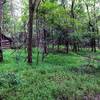 Log cabin farmhouse on the trail.