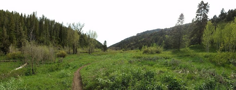 The trail remains beautiful through its middle section.