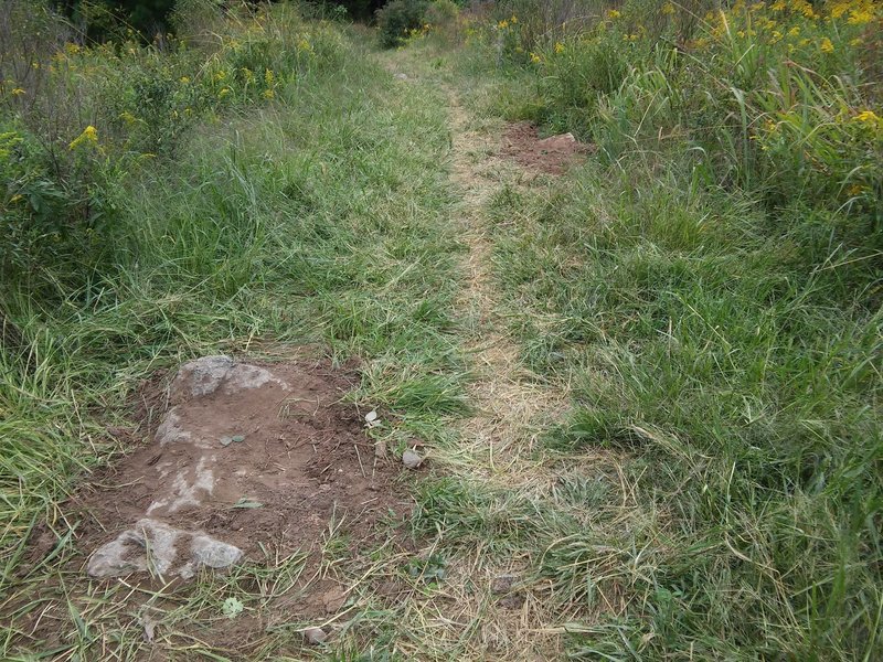 A couple rock/dirt features in the field on the return section