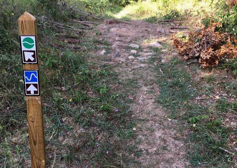 Rock garden and easy/harder split at the beginning of the trail