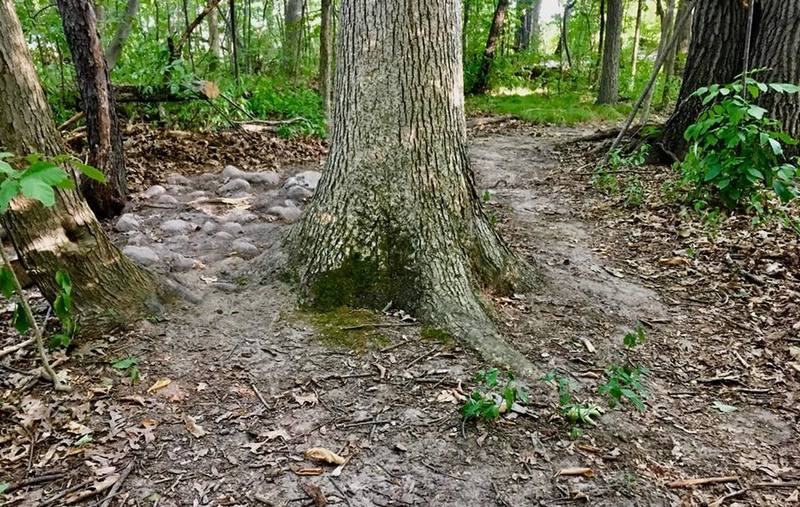 Optional rock garden in the woods on the first half