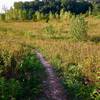 Short downhill in the field section of the return trail