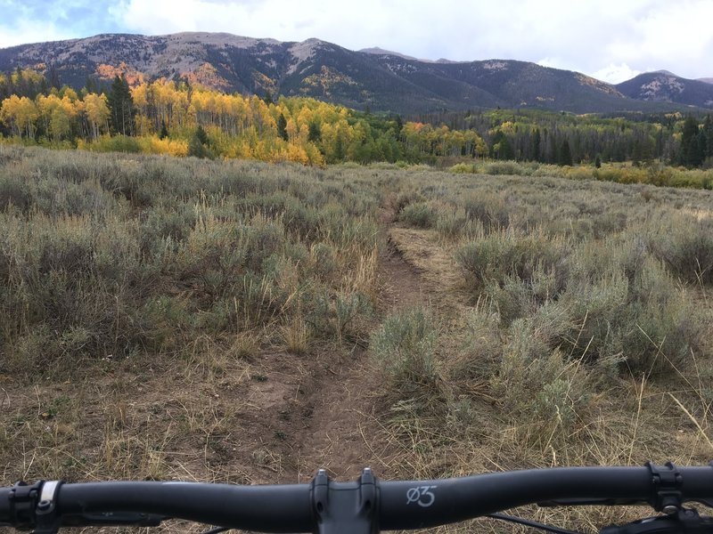 Singletrack near the yurt... again with that view!