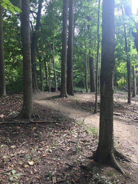 bunch of dirt berms exiting 1st segment of CRP