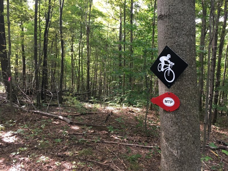 Entrance to Singletrack at the back side on the mountain.