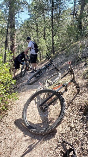 Best part of Bug Springs is the portion that goes through the woods! Fast and smooth in comparison to the technical washed out rocky parts everywhere else.