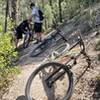 Best part of Bug Springs is the portion that goes through the woods! Fast and smooth in comparison to the technical washed out rocky parts everywhere else.