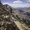 Six different false summit grunts before you top out on Hassell Peak