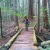 Riding across an ancient bridge