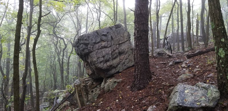 After the lung busting climb, here is almost at the mid of the perimeter loop  1,240 ft, approx at mile 5 . Very nice sceneries up here.