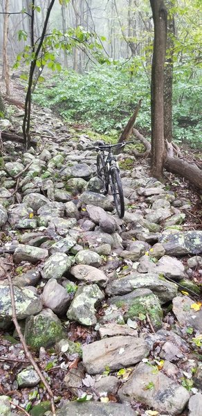 Challenging rock garden on the way down the hill.