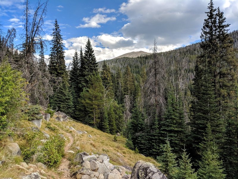 Rocky fast descent through Elk horns mts