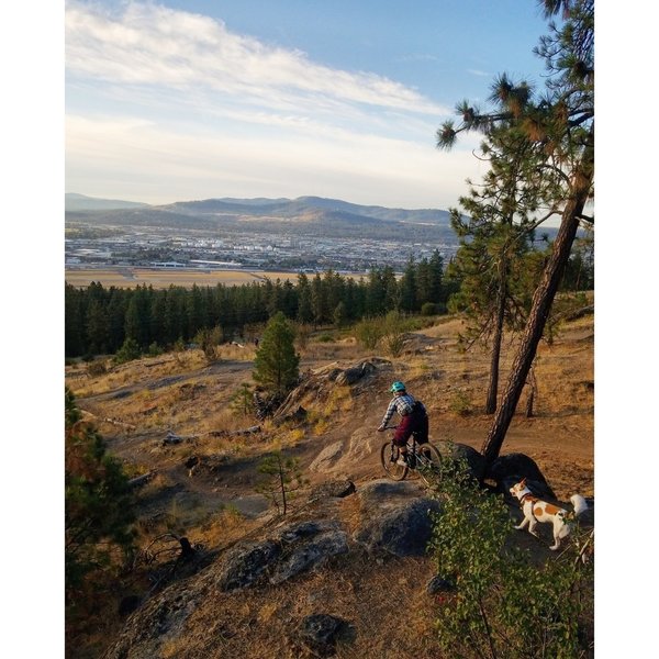 Rolling the spine with Spokane in the background.