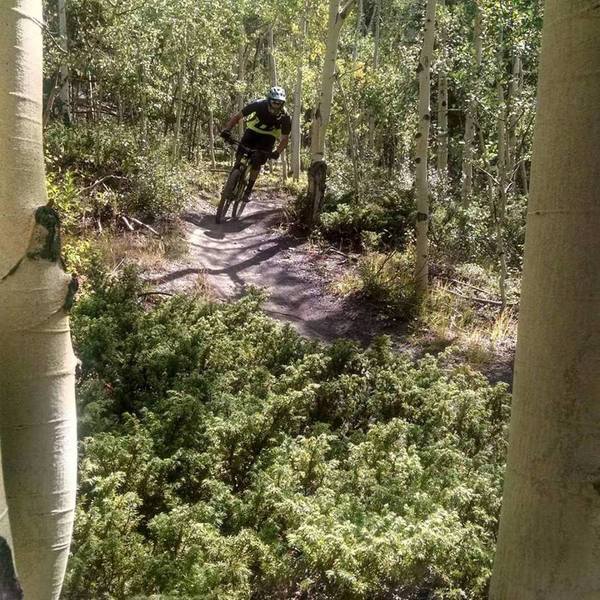 Flying through the Aspens