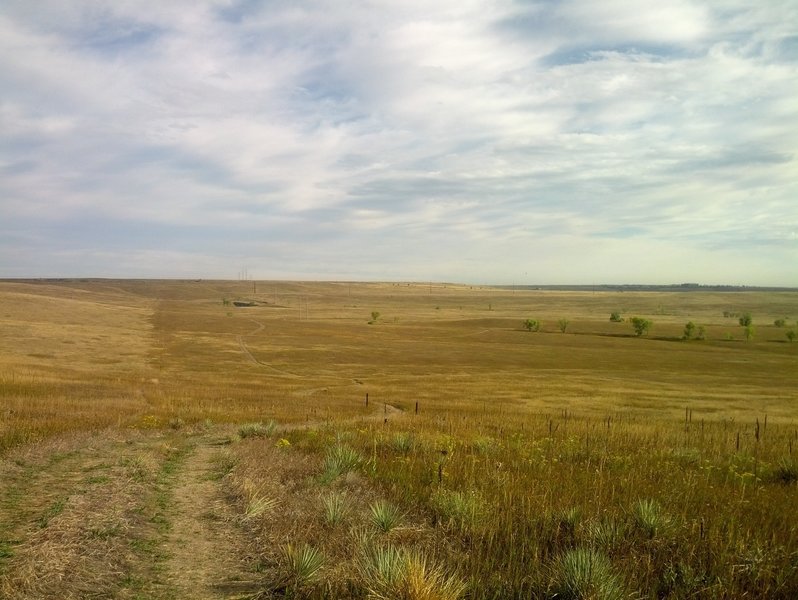 Looking north down the access to Woman Creek.