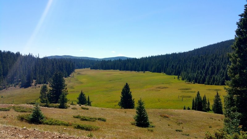 A meadow just under Greenie Peak.