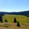 A meadow just under Greenie Peak.