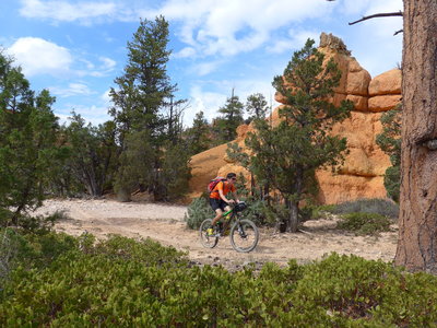 In the upper part of Loose Canyon Trail #33090, near Jct. Cassidy Trail #33093.