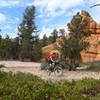 In the upper part of Loose Canyon Trail #33090, near Jct. Cassidy Trail #33093.