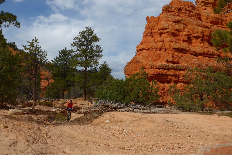 Crossing the wash in the lower part of Loose Canyon (near Casto Canyon Road).