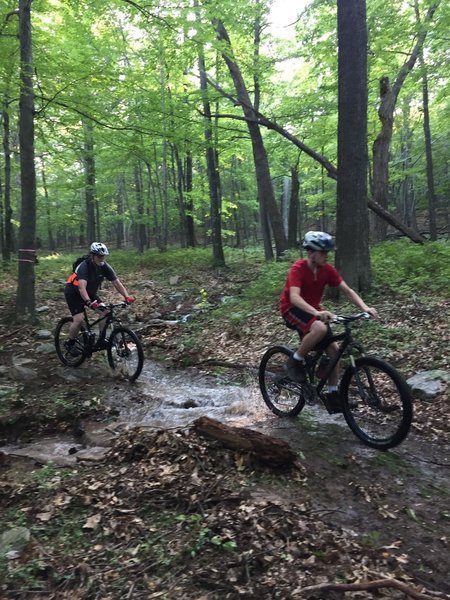 Fun stream crossing on Giddy-Up Trail.