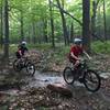 Fun stream crossing on Giddy-Up Trail.