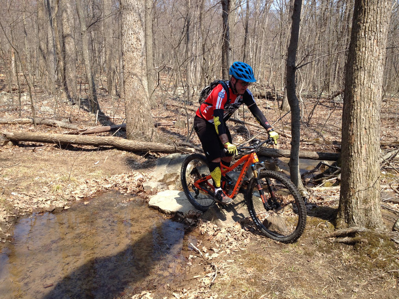 Rock stream crossing on Start Me Up.