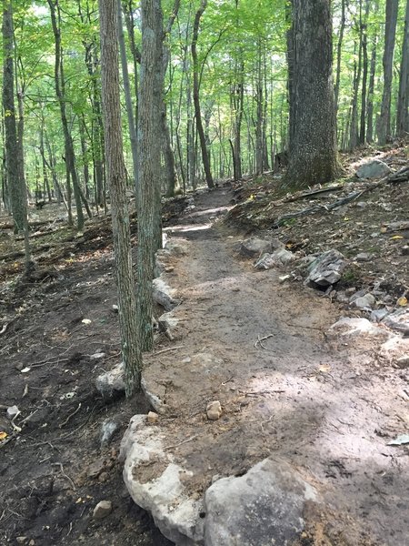 Sweet bench-cut climb built with the help of local Boy Scouts.