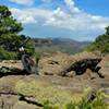 Vista at a primitive camping area on Cebolla Mesa.