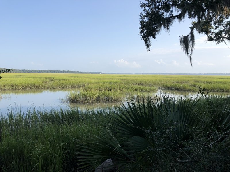 Looking toward Wilmington Island.