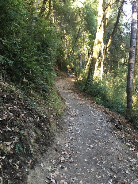 A completed section of trail along the canyon,