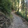 A completed section of trail along the canyon,