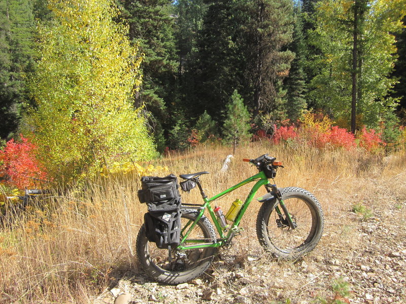 Fall colors along the trail.