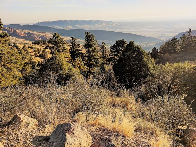 Red Rocks Amphitheater peeks over the tree line with Dinosaur Ridge and Green Mountain in the distance.