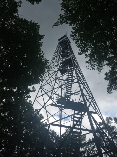 Udell Lookout Tower: You're not allowed to go up it, unfortunately.