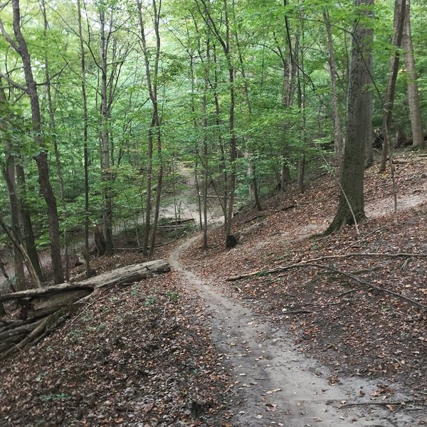 Exiting "middle ridge" toward marker 16, right before you make a 180 degree turn at the end of this decent.